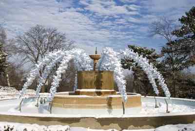 Student Turns Fountain into Eco-Conscious Art Image